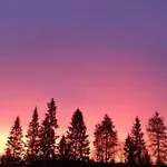 Cozy With Sauna And Free Parking Appartement