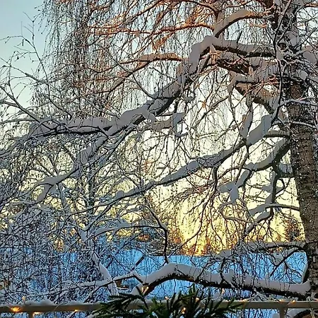 Cozy With Sauna And Free Parking Ροβανιέμι