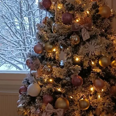 Cozy With Sauna And Free Parking Rovaniemi