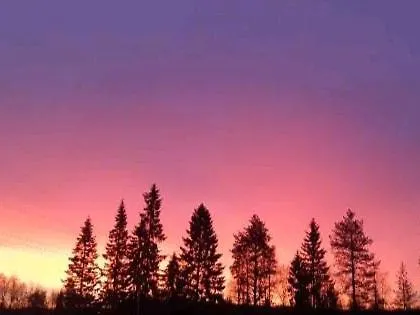 Cozy With Sauna And Free Parking Διαμέρισμα