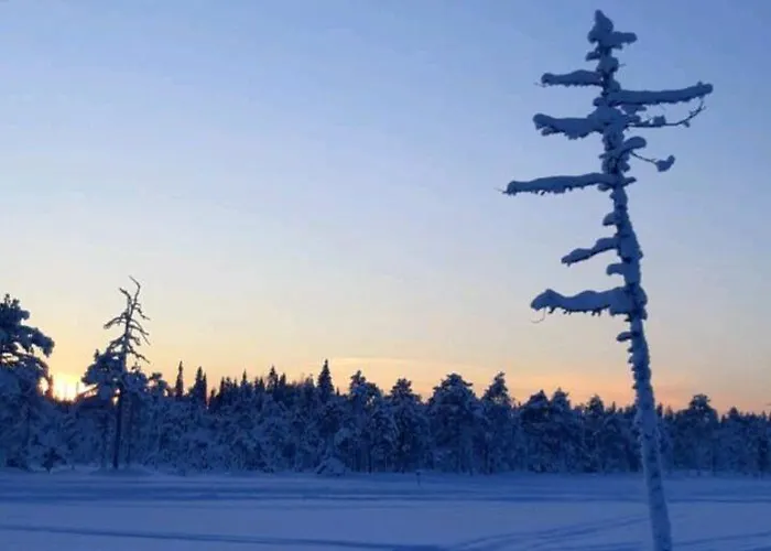 Cozy With Sauna And Free Parking Διαμέρισμα *