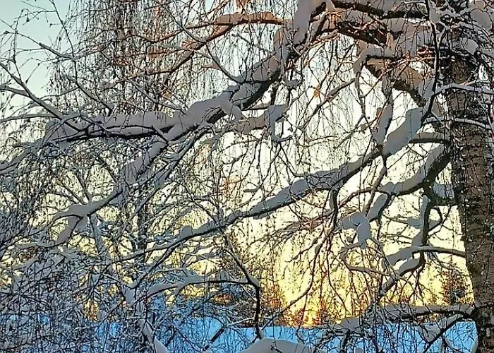 Cozy With Sauna And Free Parking Ροβανιέμι